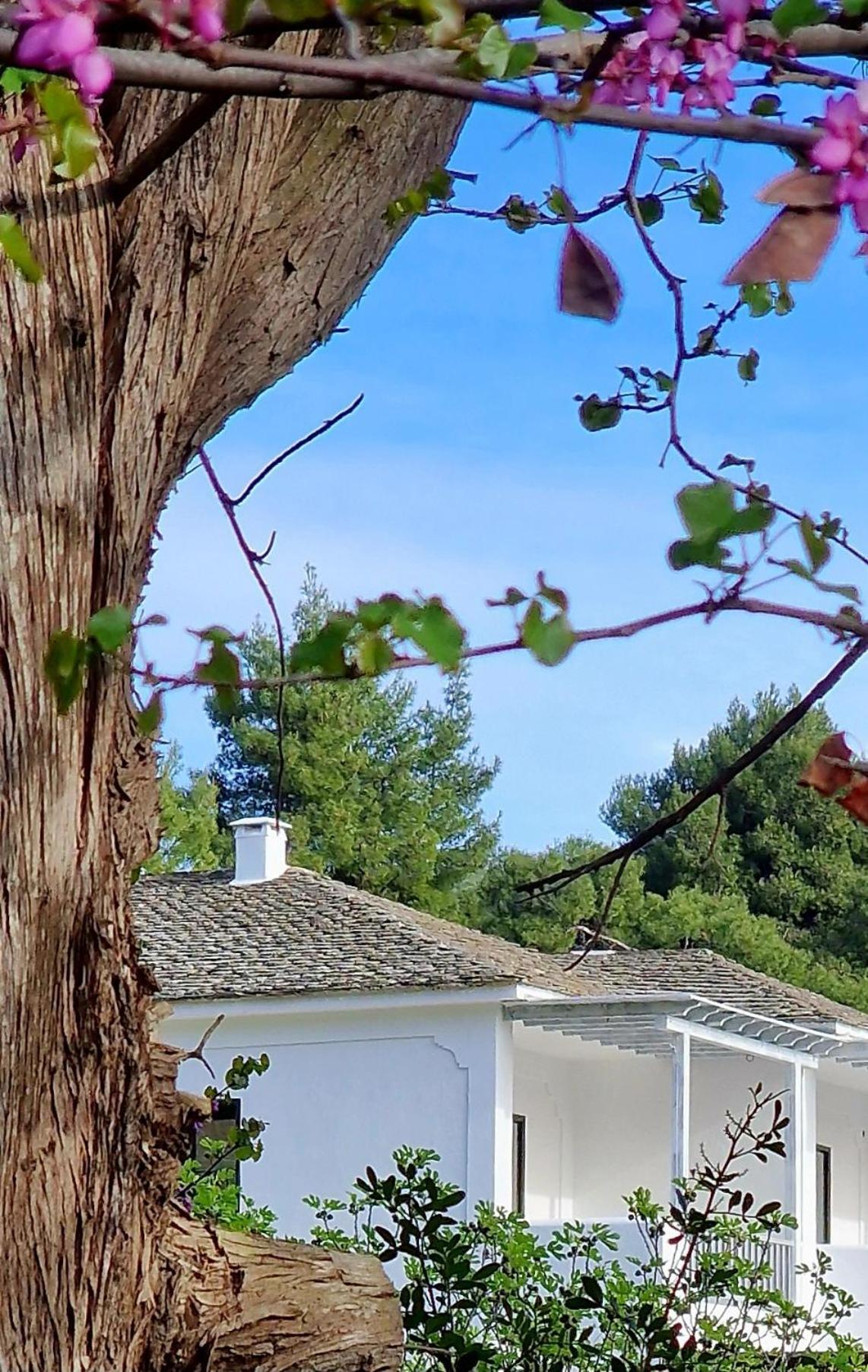 Ληθάνεμον Aparthotel Αγνώντας Εξωτερικό φωτογραφία